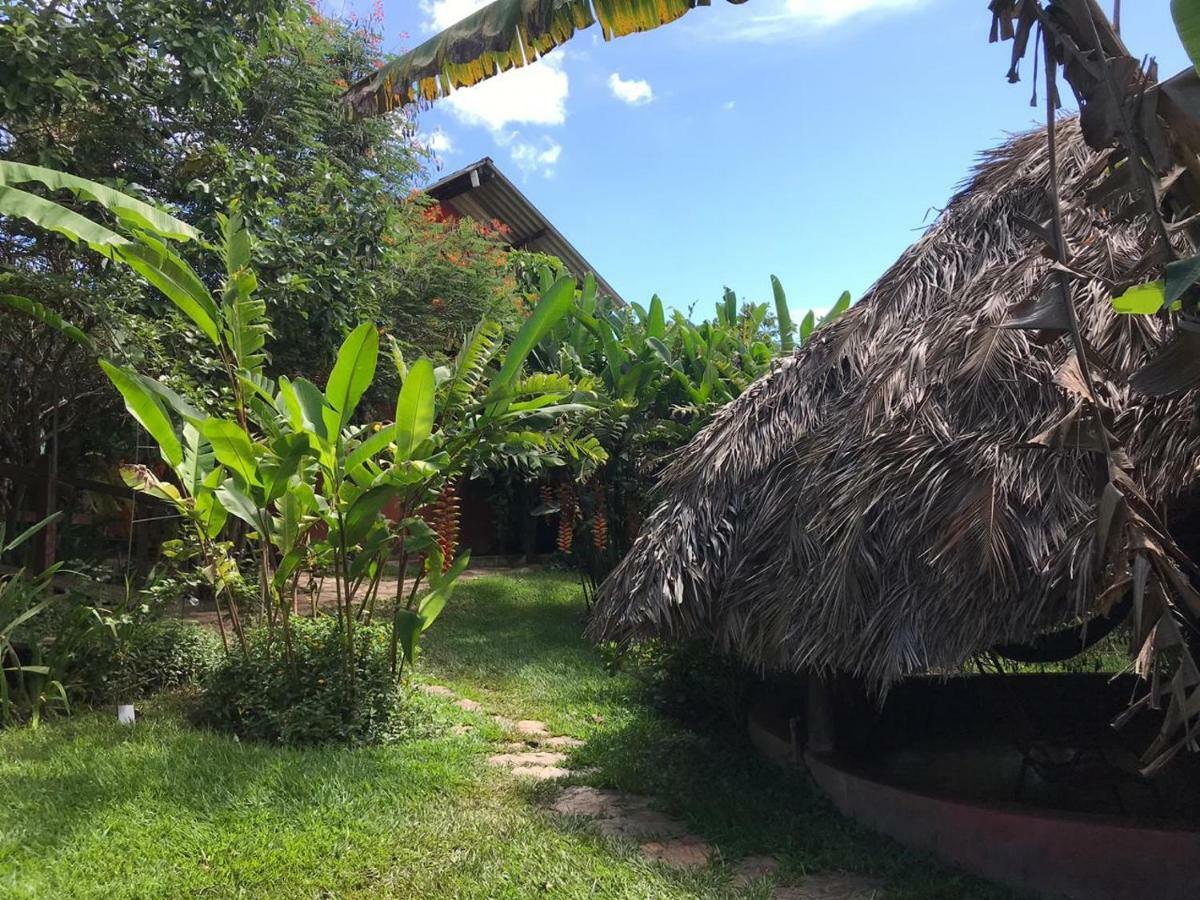 Buddy's & Alto Paraiso